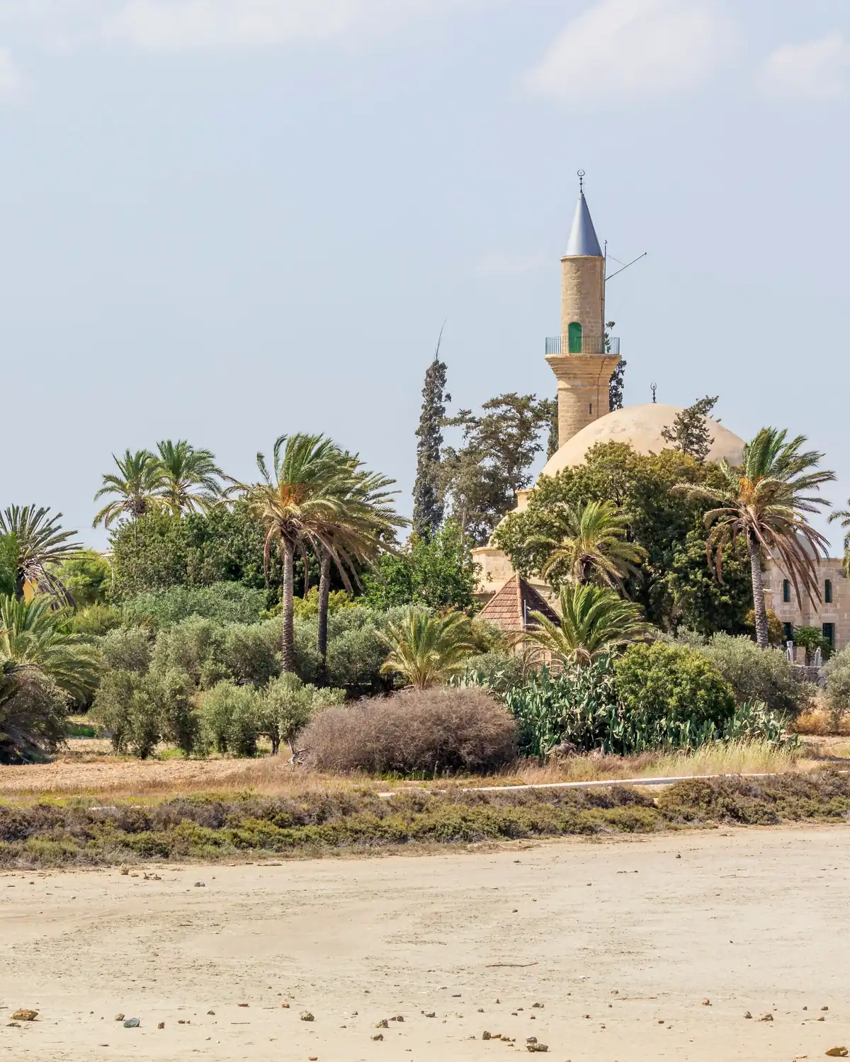 مسجد هالة سلطان بين النخيل في لارنكا