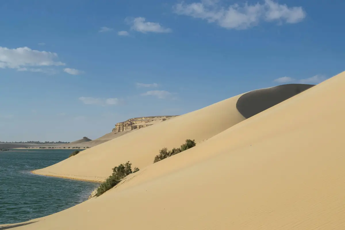 Things to do in Fayoum